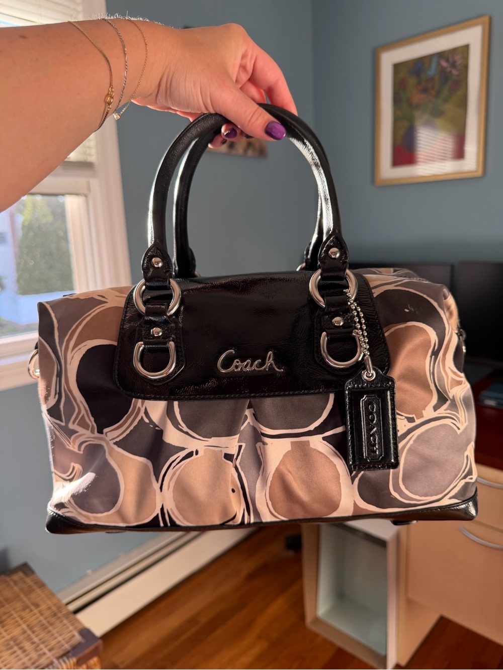 Coach Y2K Ashley Satchel
